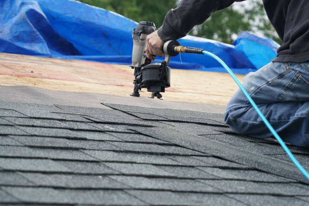 Best Gutter Installation and Roofing  in Eglin Af, FL